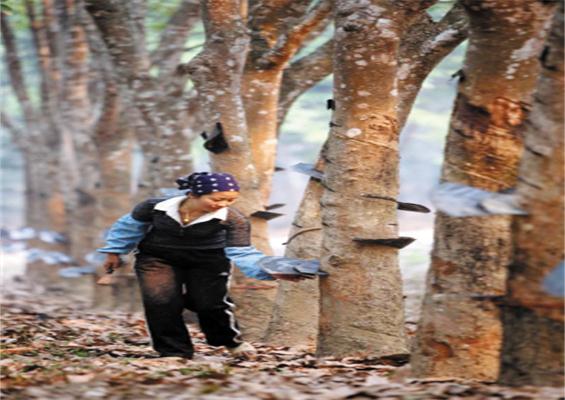 �ȹ̽��ۿ��Զ��оٴ�Ϊ